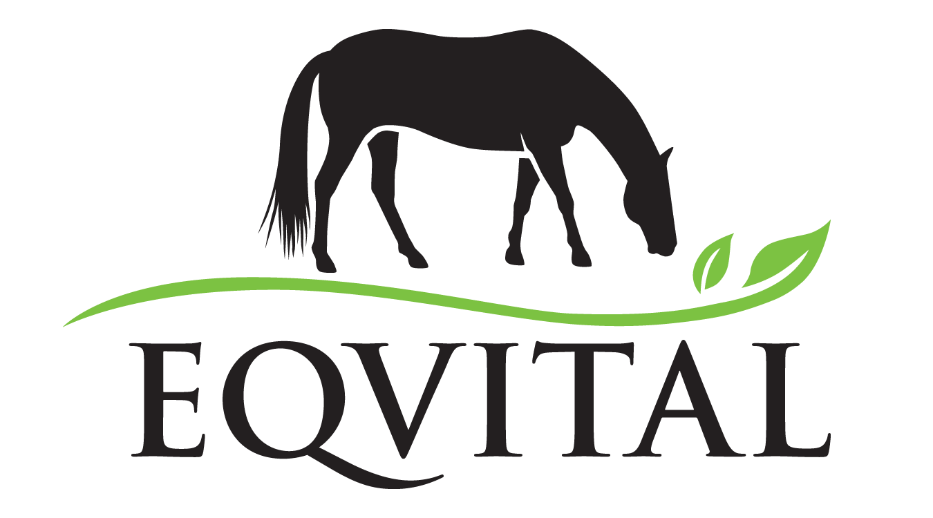 Eqvital
